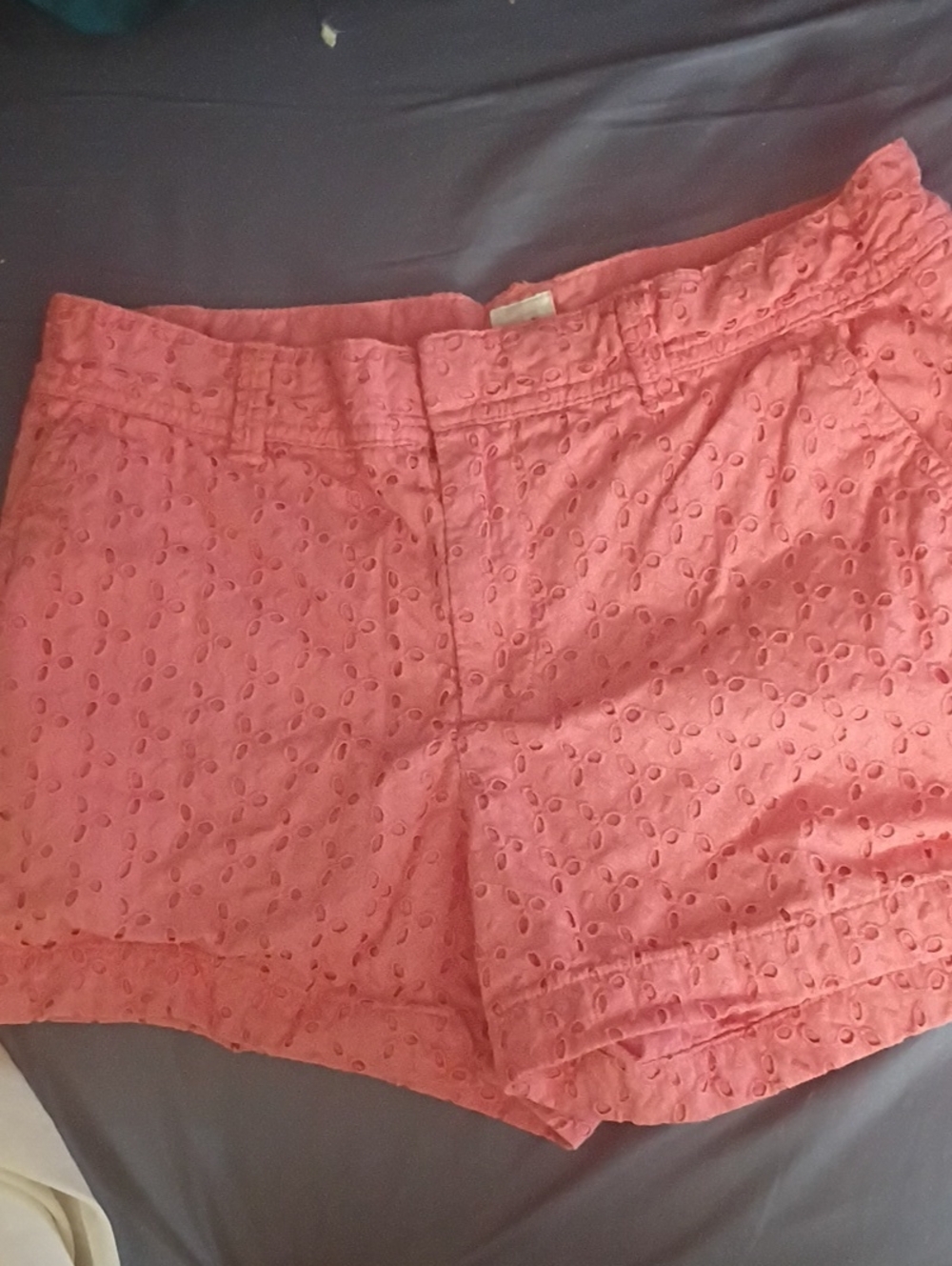 GAP Coral Eyelet High-Waist Shorts SZ 6